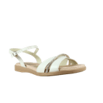 64862-1_clipped_rev_1.png