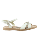 64862-2_clipped_rev_1.png