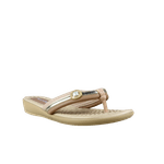 64972-1_clipped_rev_1.png