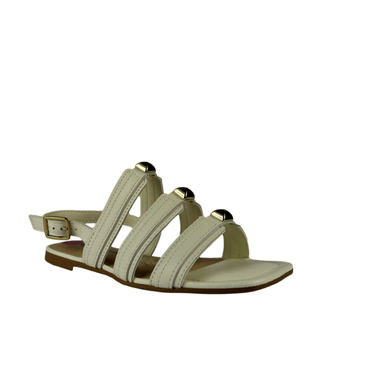 66567-1_clipped_rev_1.png