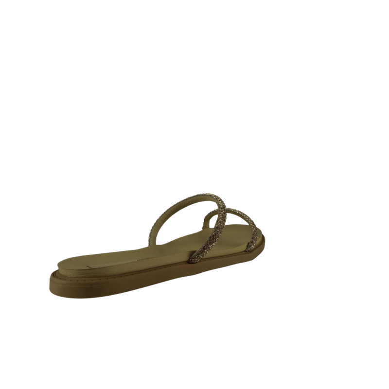 67981-3_clipped_rev_1.png