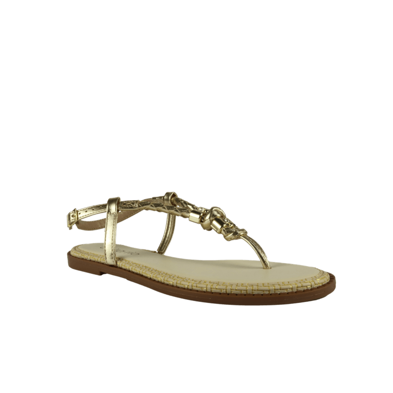 67954-1_clipped_rev_1.png