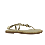 67954-3_clipped_rev_1.png