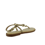 67954-4_clipped_rev_1.png