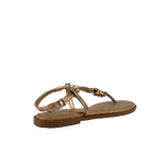 67955-4_clipped_rev_1.png