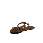 67978-3_clipped_rev_1.png