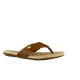 65576-1_clipped_rev_1.png