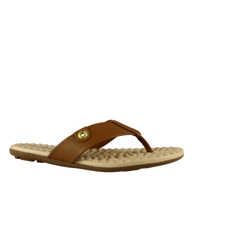 65576-1_clipped_rev_1.png