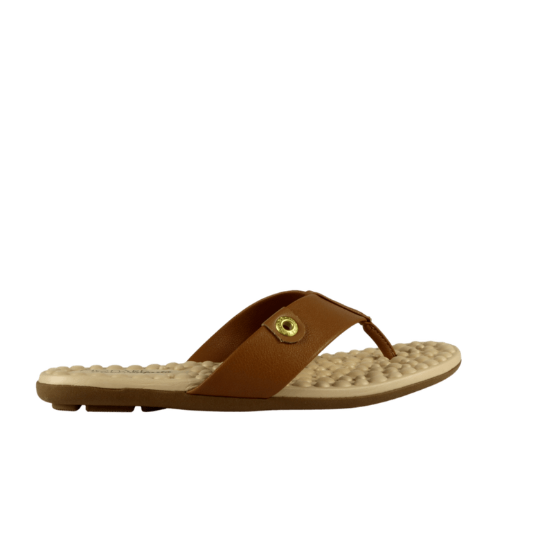 65576-2_clipped_rev_1.png