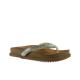 67965-1_clipped_rev_1.png