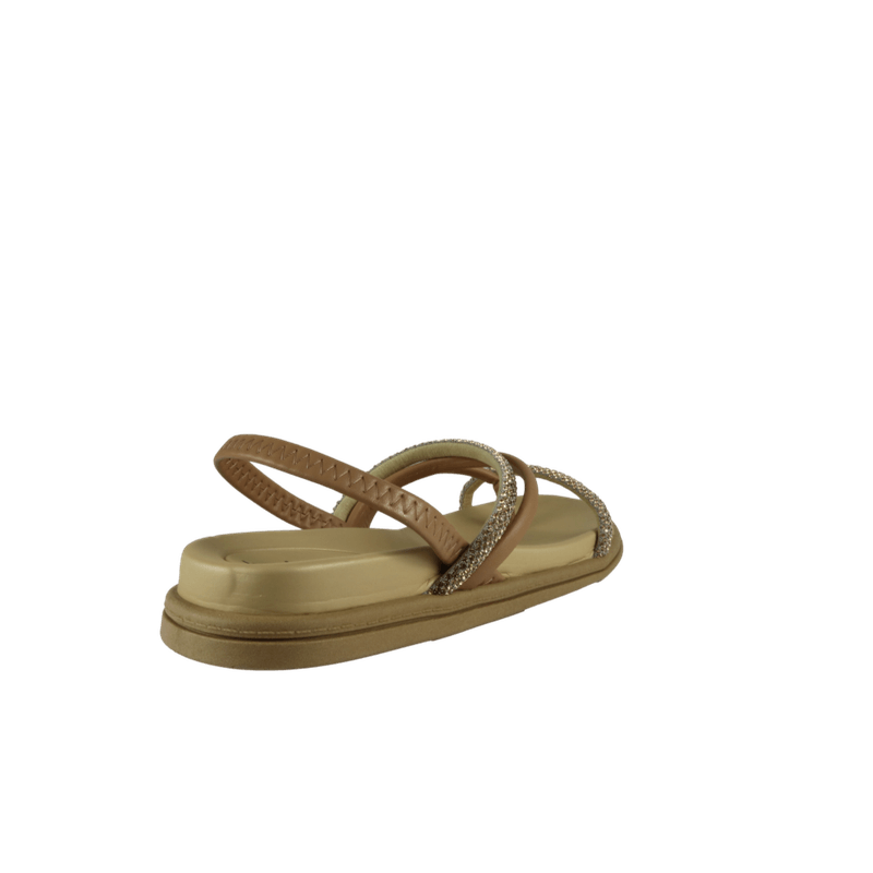 67946-3_clipped_rev_1.png
