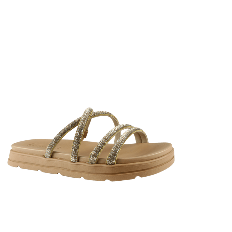 68050-1_clipped_rev_1.png