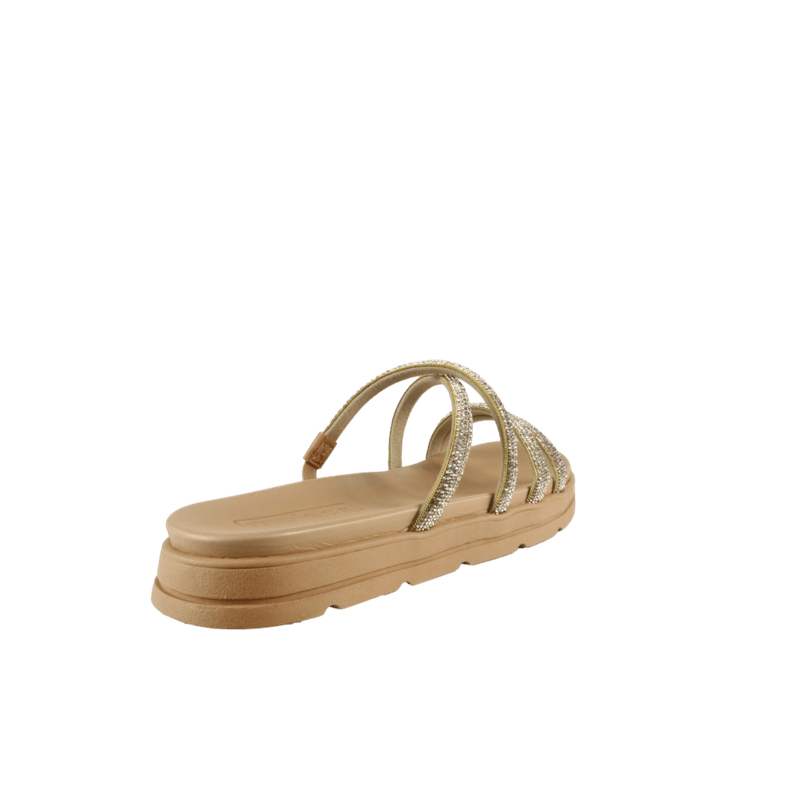 68050-3_clipped_rev_1.png