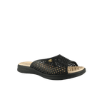 67994-1_clipped_rev_1.png