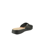 67994-3_clipped_rev_1.png
