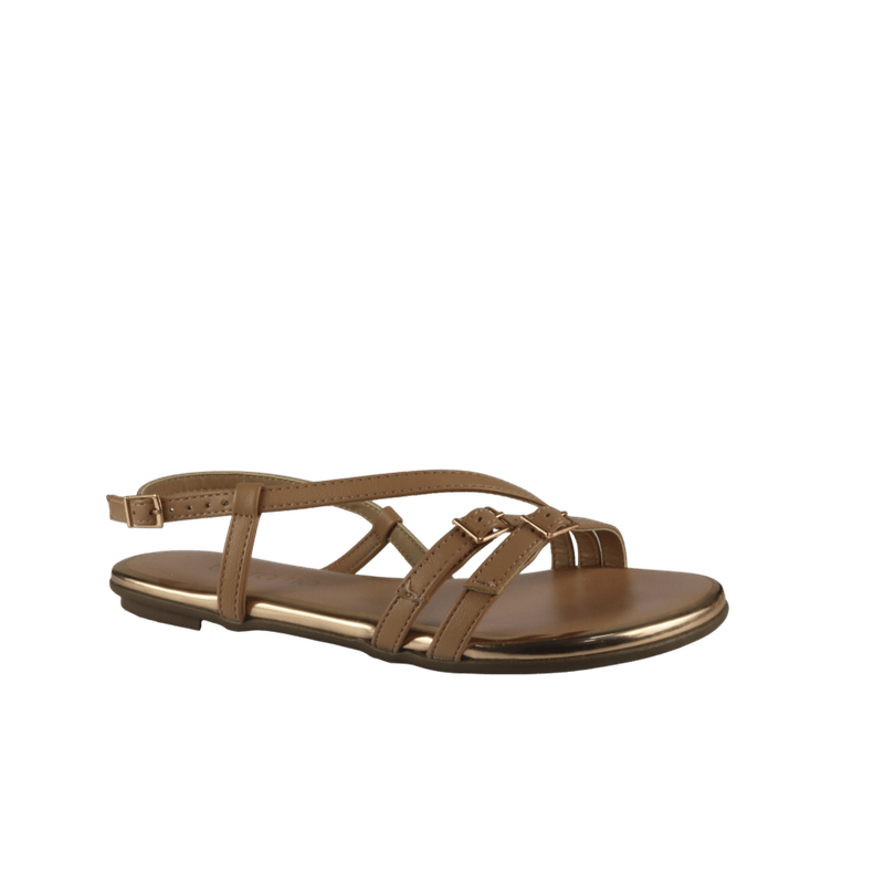 67971-1_clipped_rev_1.png