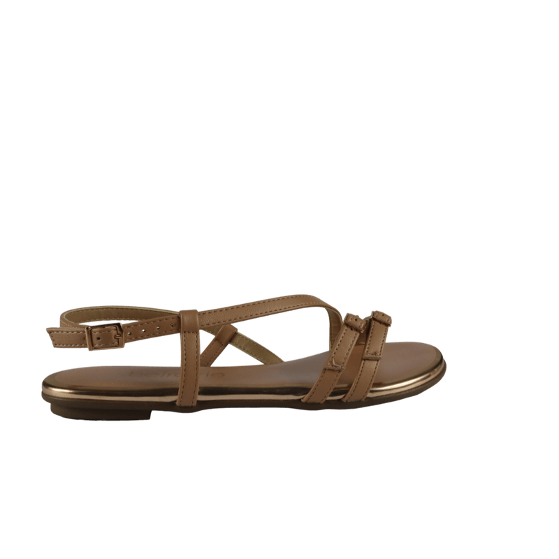 67971-2_clipped_rev_1.png