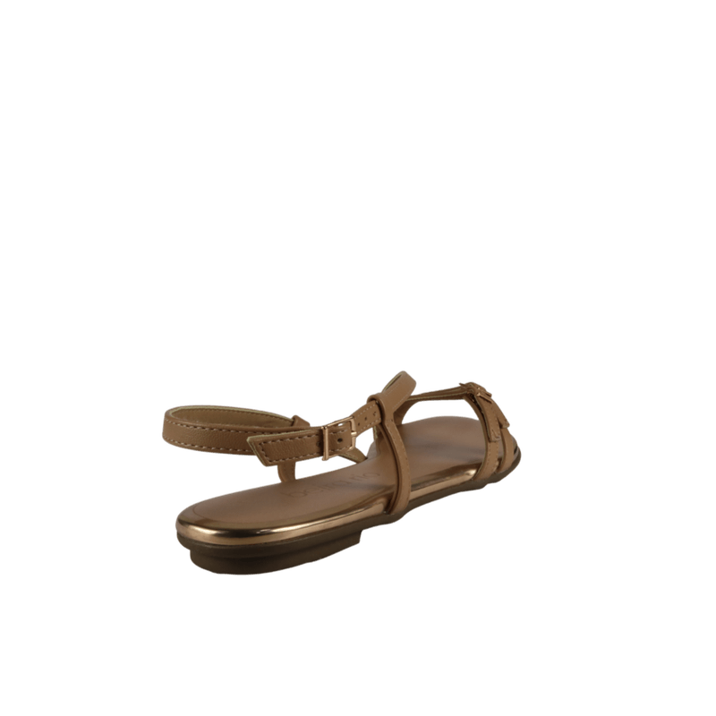 67971-3_clipped_rev_1.png