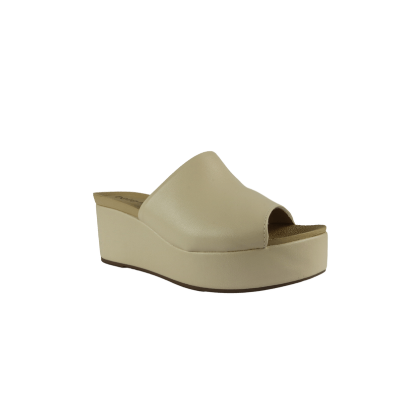 67974-1_clipped_rev_1.png