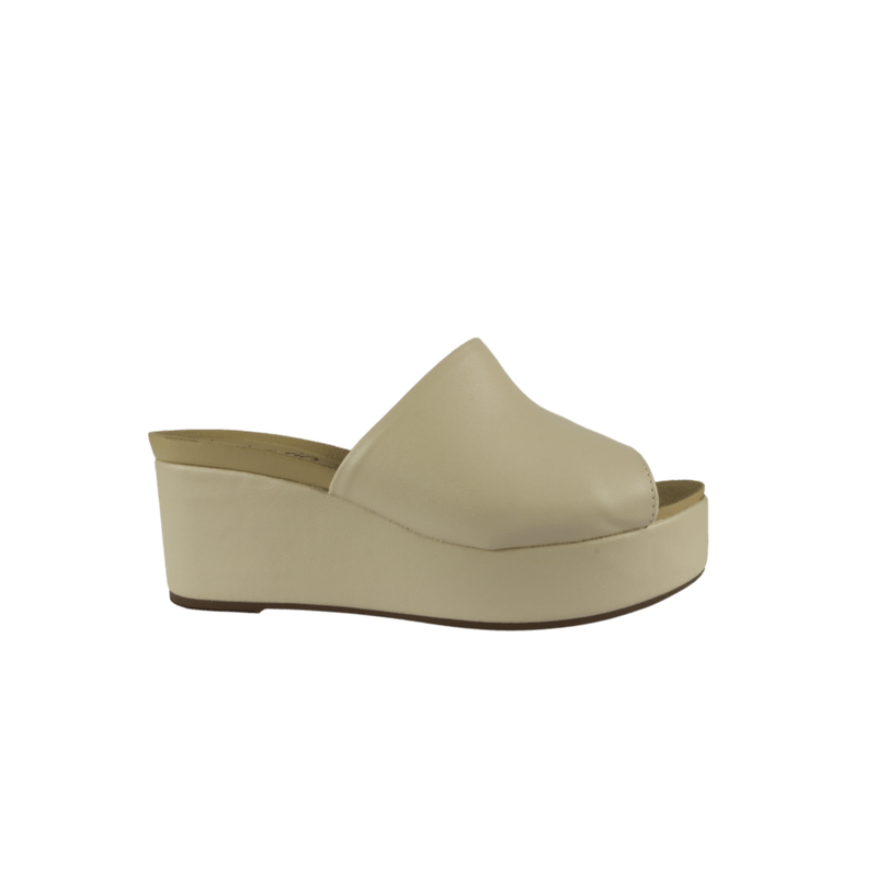 67974-2_clipped_rev_1.png