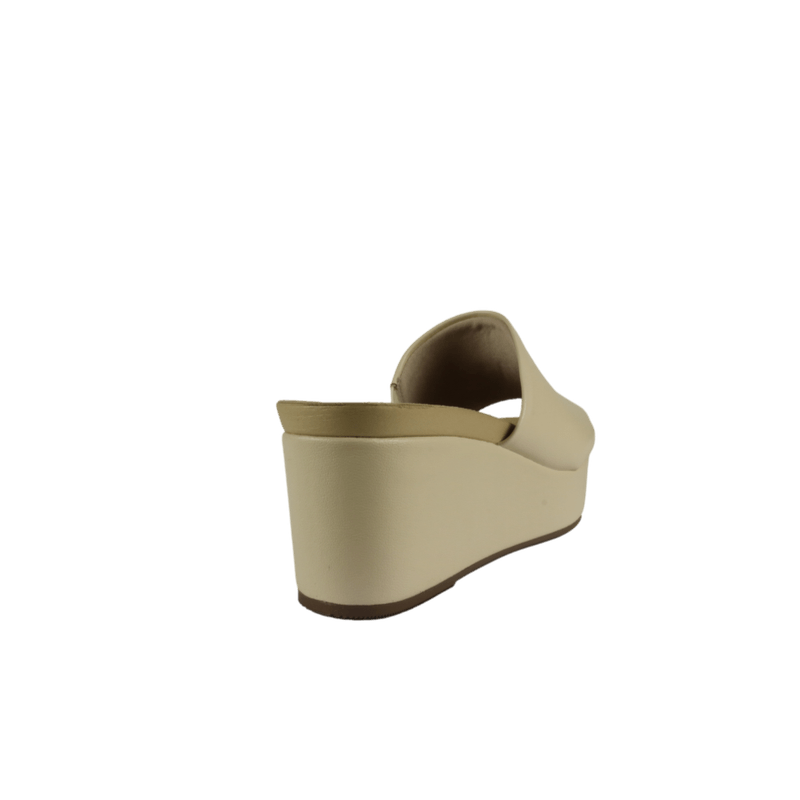 67974-3_clipped_rev_1.png