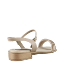 64876-3_clipped_rev_1.png