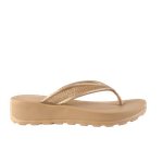 67733-23_clipped_rev_1.png