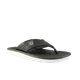 66736-1_clipped_rev_1.png