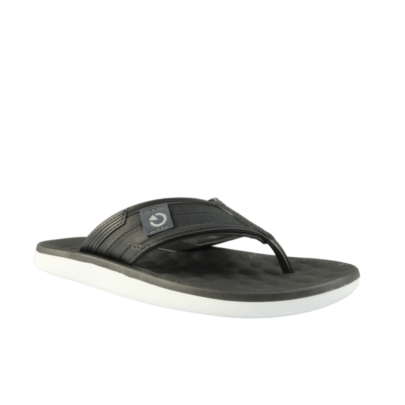 66736-1_clipped_rev_1.png