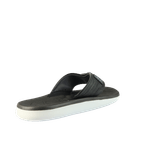66736-3_clipped_rev_1.png