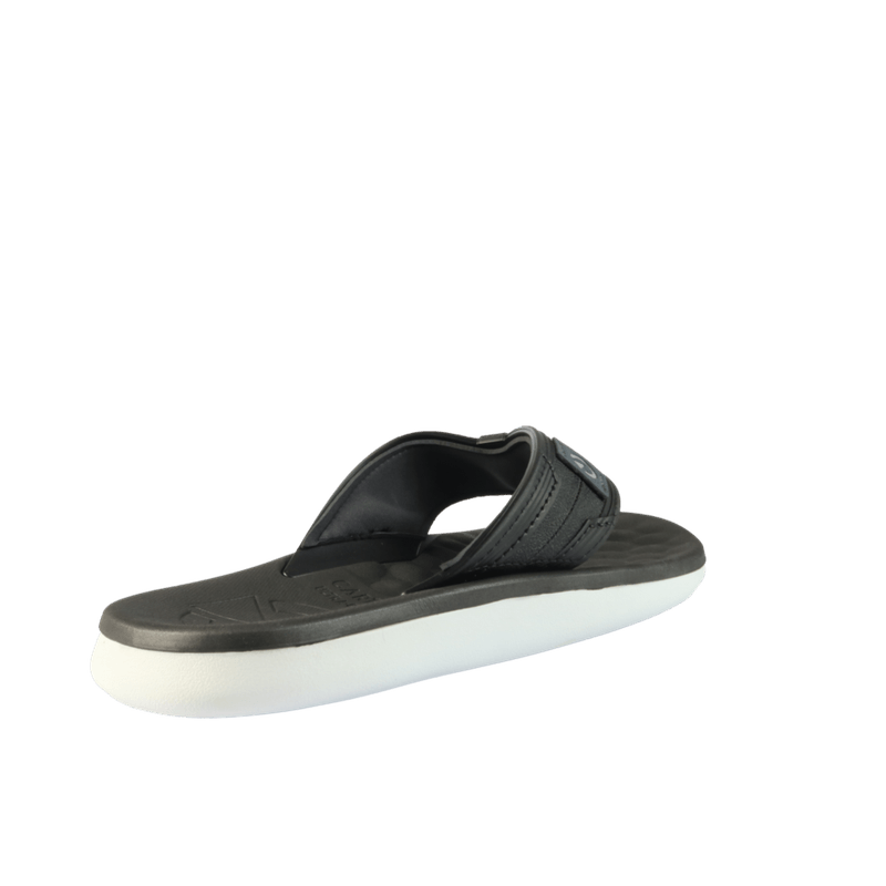 66736-3_clipped_rev_1.png