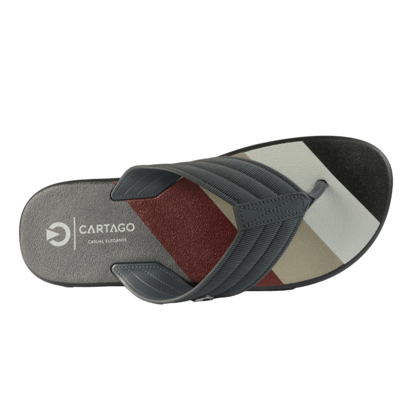 67193-3_clipped_rev_1.png