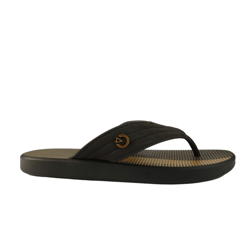 67194-2_clipped_rev_1.png