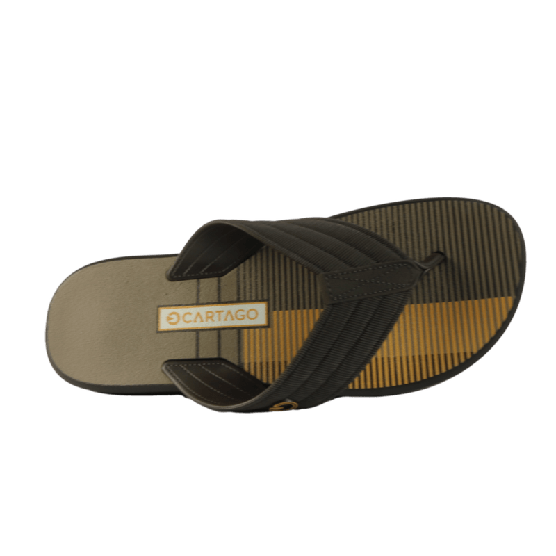 67194-4_clipped_rev_1.png