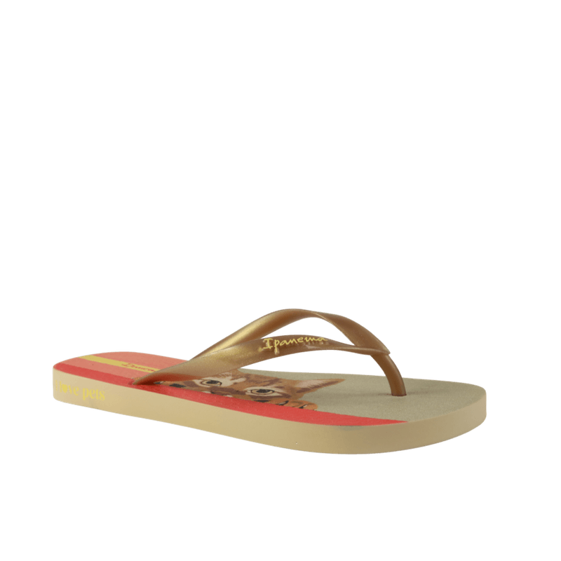 68250-1_clipped_rev_1.png