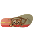 68250-2_clipped_rev_1.png