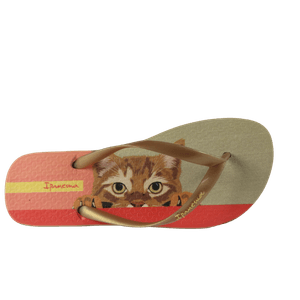 CHINELO IPANEMA FEMININO LOVE PETS