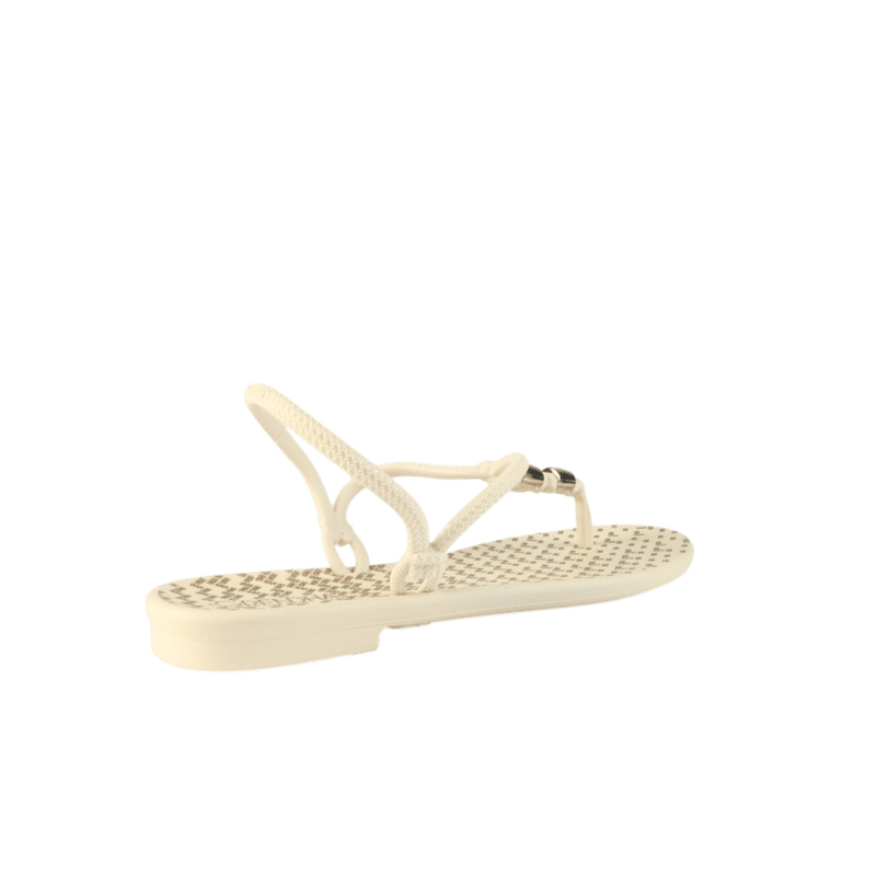 68227-2 (2)_clipped_rev_1.png