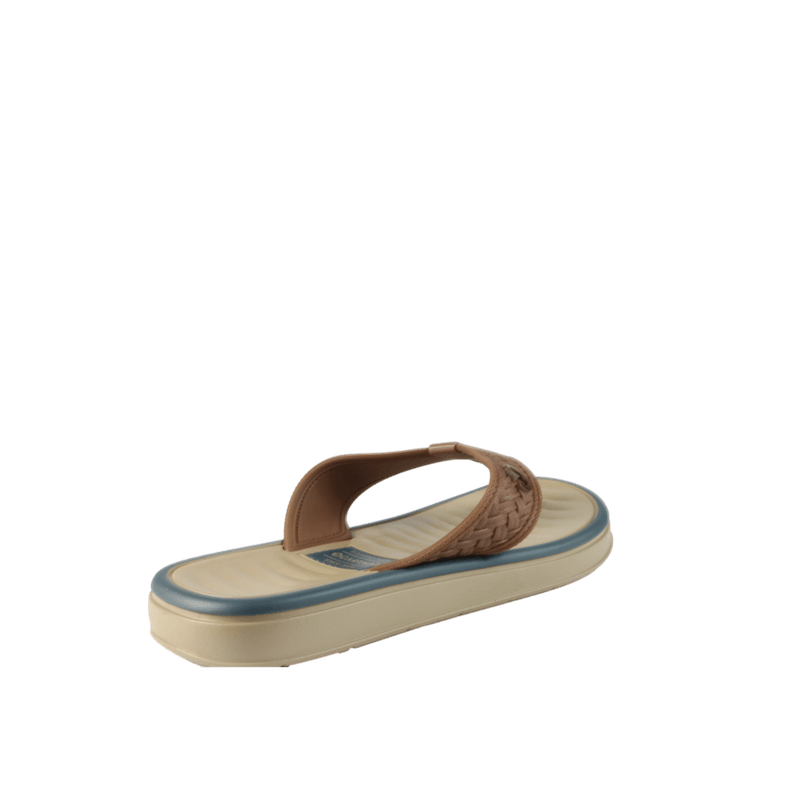 65728-3_clipped_rev_1.png