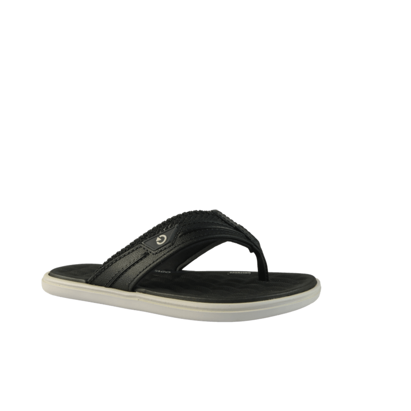 67797-1_clipped_rev_1.png