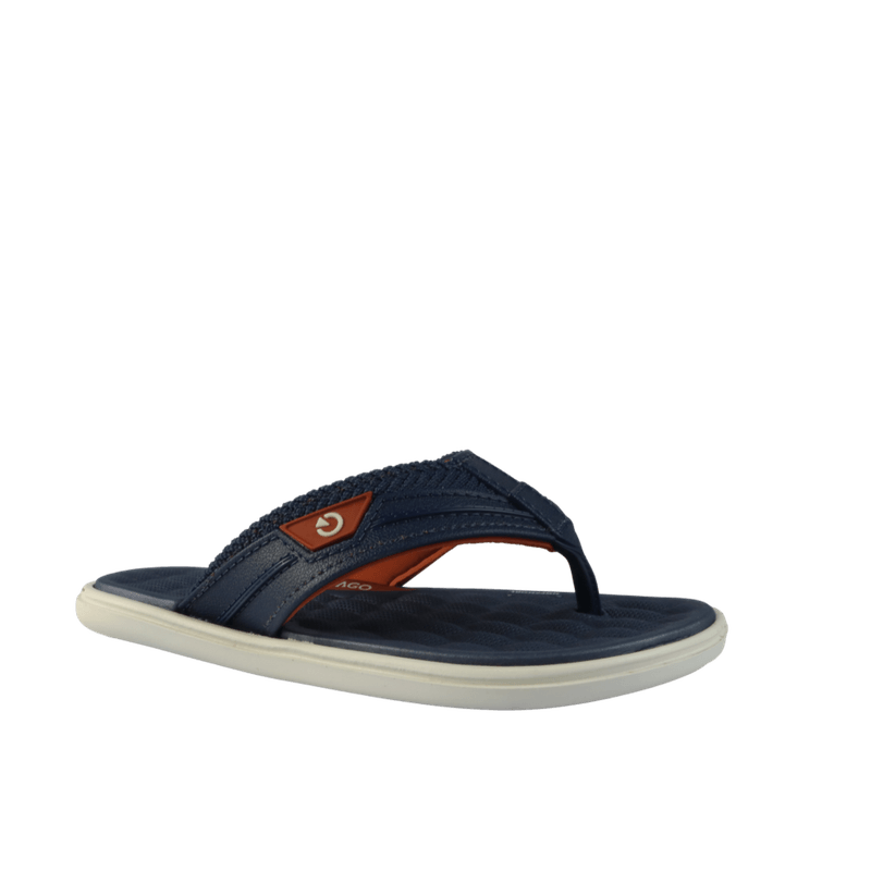 67810-1_clipped_rev_1.png