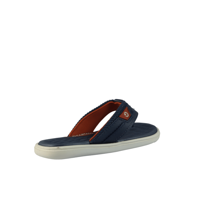 67810-3_clipped_rev_1.png