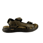 65977-2_clipped_rev_1.png