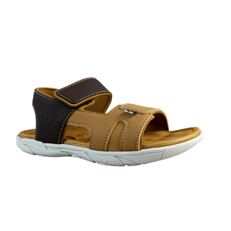 65529-1_clipped_rev_1.png