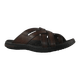 60592-1.png