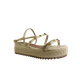 69131-1_clipped_rev_1.png