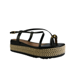 69133-1_clipped_rev_1.png
