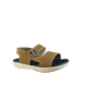 66546-1_clipped_rev_1.png