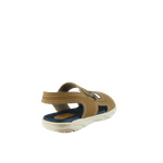 66546-3_clipped_rev_1.png