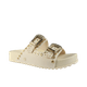 65311-1_clipped_rev_1 (1).png
